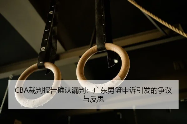 cai-pan-bao-gao-que-ren-lou-pan-guang-dong-nan-lan-shen-su-yin-fa-de-zheng-yi-yu-fan-si-2-251.jpg